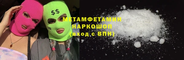 прущие грибы Ельня