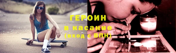 прущие грибы Ельня