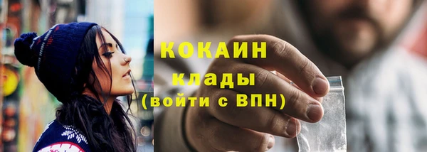 прущие грибы Ельня