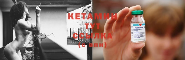 прущие грибы Ельня