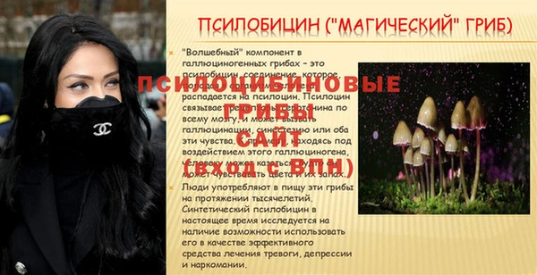 метамфетамин Елизово