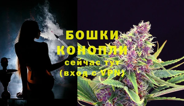 прущие грибы Ельня