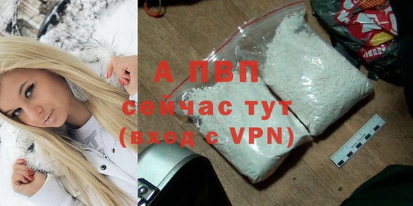 прущие грибы Ельня