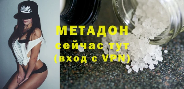 прущие грибы Ельня