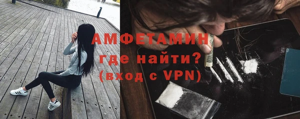 прущие грибы Ельня