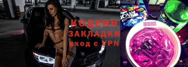 прущие грибы Ельня