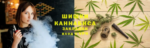 МДПВ Елабуга